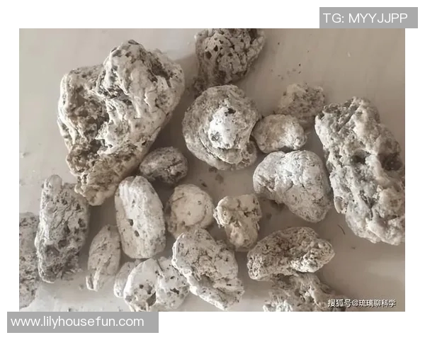 探讨吉利亚蒙本土硬度的影响因素及其在材料科学中的应用价值